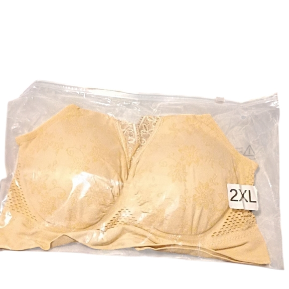 Elegant Cream Lace Bra - 2XL - Picture 1 of 4